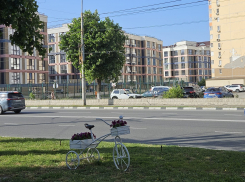 Гороскоп от «Блокнота»: Девам быть внимательнее на работе, а Львам брать ответственность на себя