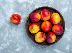 Нектарины с “протеином” не пропустили в порту Новороссийска