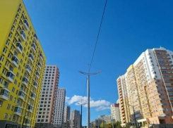 Это обязанность: застройщикам Новороссийска объяснили, как надо озеленять город