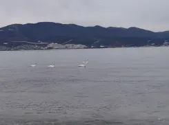 В Черном море у берегов Анапы и Новороссийска произошло землетрясение 