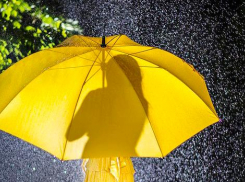 Достаём зонты: сегодня они понадобятся новороссийцам 