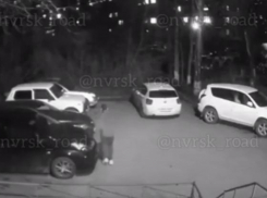 В Новороссийске продолжаются ночные погромы машин