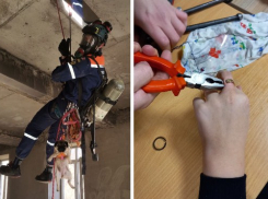 Пять новороссийцев и собачка: чем занимались спасатели последнюю неделю