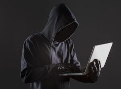 Взял деньги и не доставил новороссийцам кота — 19-летнему парню грозит до 5 лет