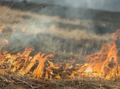 Новороссийцам следует воздержаться от посещения леса