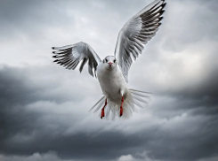 Хмурое и дождливое воскресенье ждёт новороссийцев 