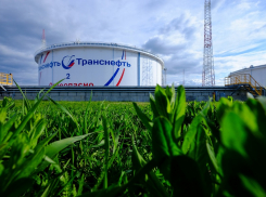 АО «Черномортранснефть» в 2020 году направило на реализацию природоохранных мероприятий 149 млн рублей