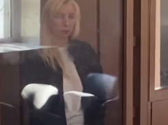 Анна Минькова, бывший вице-губернатор Краснодарского края, признала вину в суде