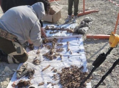 Останки советских воинов нашли на стройке в Новороссийске