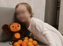 Чебурашка исполняет мечты: маленькое чудо в большом городе