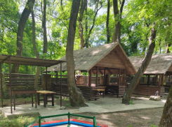 Лес, не выезжая из города: комфортные беседки с мангалом в Новороссийске