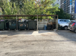 «Я - скорость»: «ЭКО-ЮГ» молниеносно расчистили мусорную площадку после публикации «Блокнота» 