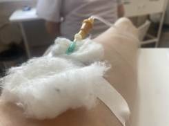 Нас ждет эпидемия гепатита А? По сети «гуляет» фейковый документ от главы Роспотребнадзора