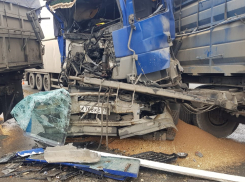 ДТП с участием большегрузов: стали известны подробности серьезной аварии под Новороссийском