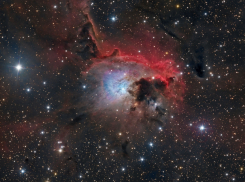 Гороскоп от “Блокнота” на 19 июня: Рыбы почувствую себя в гармонии с миром, а для Раков день напряженный