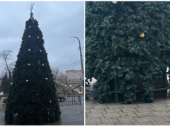 «Позорище!»: новороссийцы раскритиковали елку в центре города 