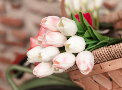 Весенний сюрприз от молодых активистов получили жительницы Новороссийска 8 марта