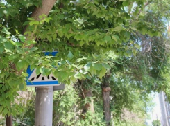 Безопасность отсутствует? Что предпринимается властями ради комфорта новороссийских школьников