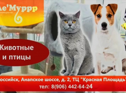 «Ле’Муррр» - проводник в мир заботы о животных