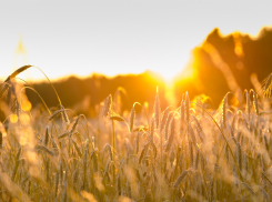 Погода в Новороссийске: жарко и ветрено 