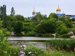 Прогулочный, семейный парк: в Южные пруды Новороссийска вдохнут новую жизнь 
