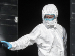 Covid-19 не отмечает первомай: по краю за сотню заболевших