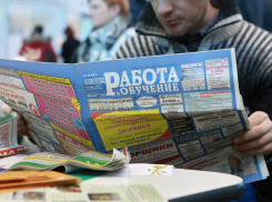 На Кубани уменьшилось количество безработных граждан 