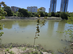 Экологический ущерб при работах на «Южных прудах» Новороссийска оценен в 8 миллионов рублей