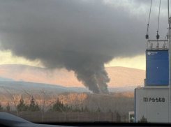 Безопасность требует жертв: в Натухаевской сжигают зараженных птиц