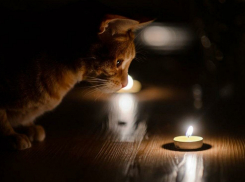 Пригород Новороссийска снова останется без света этой ночью 