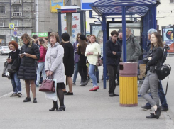 «Люди кидались под колеса редкой маршрутки»: до чего доводит общественный транспорт Новороссийска 