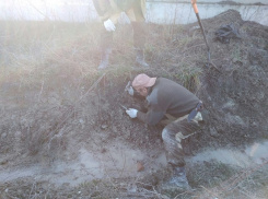 Под Новороссийском ведутся поисковые работы на месте массового захоронения