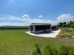 На винодельнях Краснодарского края гостей будут размещать по «единой схеме»