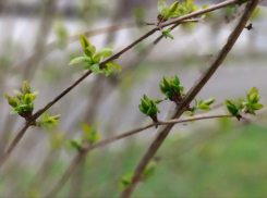 Новороссийская зима расстроилась и льет слезы целый день