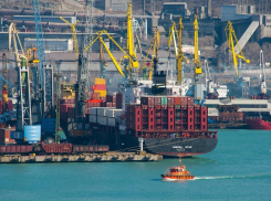 НМТП стал лидером среди морских портов России по грузообороту
