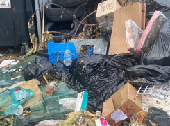 По мусору - ТОЛЬКО в чат! Новороссийцам рассказали, как можно подать заявку 