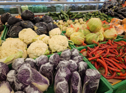 Цены на продукты в Новороссийске: что подешевело, а что значительно подорожало за год