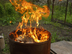 Новороссийцам вновь ограничили посещение леса — напоминаем о наказании