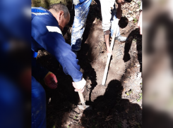 Прятал тело в лесу: убийца показал останки жертвы полиции Новороссийска 