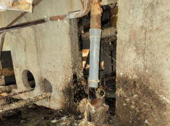 «Вонь стоит на весь подъезд, УК не реагирует»: жалуются в Новороссийске на состояние подвала-убежища