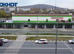 Вместо вырубленных деревьев – павильоны для бизнеса: зачем новороссийцев вводят в заблуждение