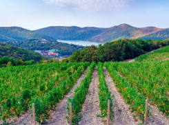 Через Новороссийск пройдёт автомобильный маршрут для туристов: пробок будет больше 