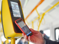 По наклейке новороссийцы узнают, в каком транспорте принимают карты