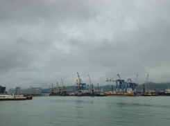 Погода в Новороссийске: пасмурно, прохладно, без осадков 