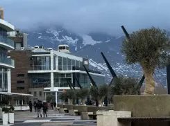 Почти 600 тысяч рублей в год: набережную готовят к круглогодичному уходу за оливами и фотиниями