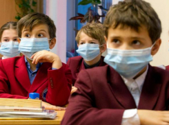 Изменения в системе образования: как это коснется новороссийских школьников