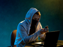 В 2024 году новороссийцы перевели мошенникам более полумиллиарда рублей