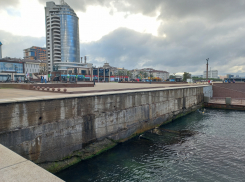 «Какая вонь на набережной встречает туристов города!», - жительница Новороссийска просит навести порядок  