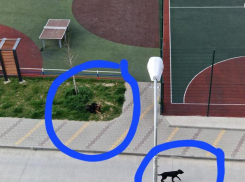 Не так «уютно» живется новороссийцам, как они хотели 