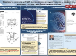 Комары как биологическое оружие - стоит ли опасаться новороссийцам